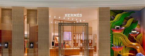 tam sơn hermes.